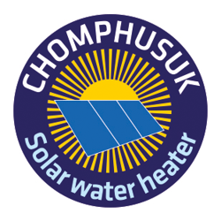 Webshop, Website, Online Marketing, IT in Statistics